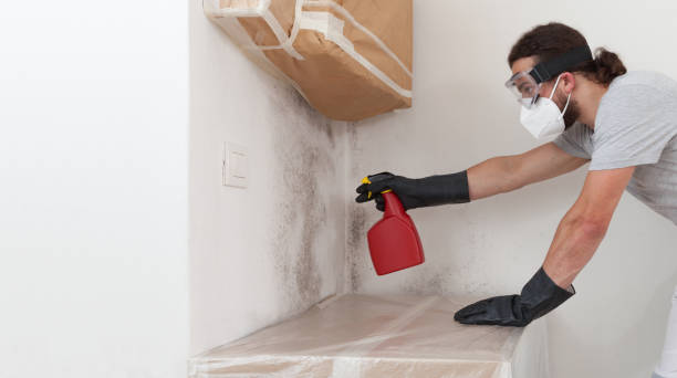 Professional Mold Testing technician working in Chestnut Hill, MA
